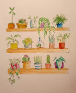 Atelier - Botanique  1 - Mardi 09h00 - 2024