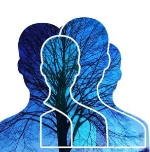 Atelier - Psycho-généalogie  Niveau 1 - 14h30 - Mardi 14h30 - 2025