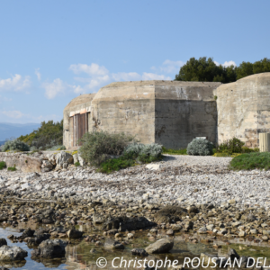 Sortie - Du bastion au bunker : visite interprétative des fortifications allemandes de l’île Sainte-Marguerite - 19-12-2024 - 2024