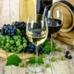 Atelier - Oenologie 1 - Jeudi 10h00 - 2024