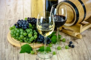 Atelier - Oenologie 1 - Jeudi 10h00 - 2024