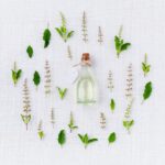 Atelier - La médecine par les plantes pour tous - Mardi 14h00 - 2025