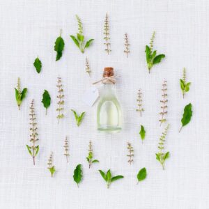 Atelier - La médecine par les plantes pour tous - Mardi 14h00 - 2025
