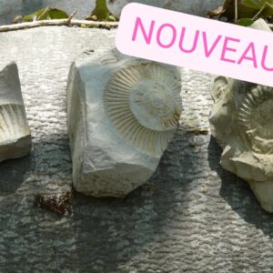 Atelier - Paléontologie - Vendredi 10h00 - 2026